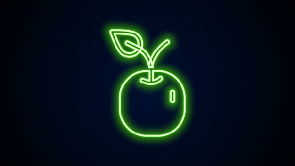 Linea neon luminosa icona Apple isolata su sfondo nero. Frutta con simbolo di foglia. Animazione grafica 4K Video motion — Video Stock