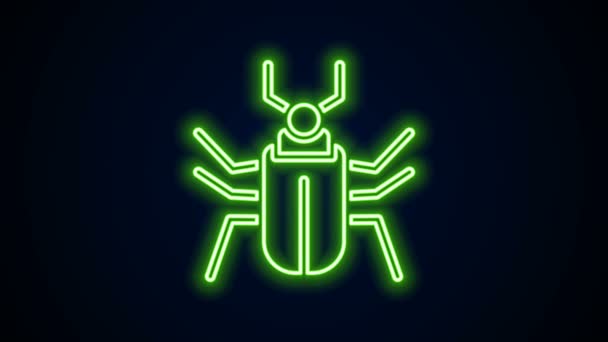 Linea neon incandescente Icona a mosca insetto isolata su sfondo nero. Animazione grafica 4K Video motion — Video Stock