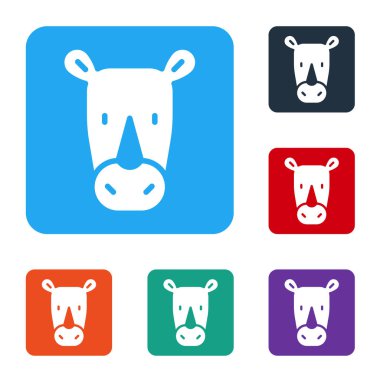 Beyaz gergedan simgesi beyaz arkaplanda izole edildi. Hayvan sembolü. Renkli kare düğmelerle simgeleri ayarla. Vektör.