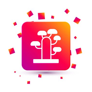 Beyaz Afrika ağaç simgesi beyaz arkaplanda izole edilmiş. Baobab, akasya ve diğerleri. Kare renk düğmesi. Vektör.