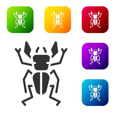 Siyah Böcek geyiği ikonu beyaz arka planda izole edilmiş. Boynuzlu böcek. Büyük böcek. Renkli kare düğmelerle simgeleri ayarla. Vektör.