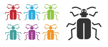 Siyah Shafer Böcek simgesi beyaz arkaplanda izole edildi. Simgeleri renklendirin. Vektör.