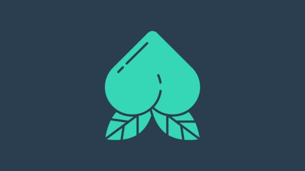 Buah persik pirus atau nektarin dengan ikon daun diisolasi pada latar belakang biru. Animasi grafis gerak Video 4K — Stok Video