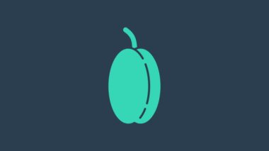 Turkuaz erik ağacı ikonu mavi arkaplanda izole edilmiş. 4K Video hareketli grafik canlandırması