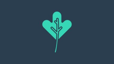 Turkuaz Yaprak simgesi mavi arkaplanda izole edildi. İşaret bırakıyor. Taze doğal ürün sembolü. 4K Video hareketli grafik canlandırması