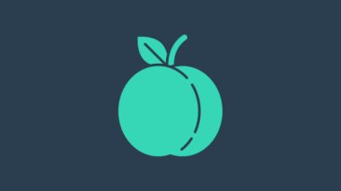 Turkuaz şeftali ya da nektarin, mavi arka planda yaprak ikonu var. 4K Video hareketli grafik canlandırması