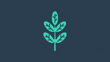 Turkuaz Yaprak simgesi mavi arkaplanda izole edildi. İşaret bırakıyor. Taze doğal ürün sembolü. 4K Video hareketli grafik canlandırması