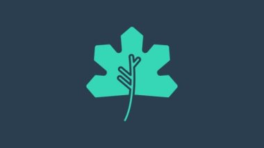 Turkuaz Yaprak simgesi mavi arkaplanda izole edildi. İşaret bırakıyor. Taze doğal ürün sembolü. 4K Video hareketli grafik canlandırması