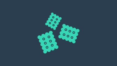 Turkuaz bisküvi simgesi mavi arkaplanda izole edildi. Tatlı kurabiye. 4K Video hareketli grafik canlandırması