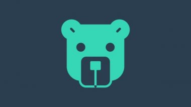 Turkuaz Ayı kafa simgesi mavi arkaplanda izole edildi. 4K Video hareketli grafik canlandırması