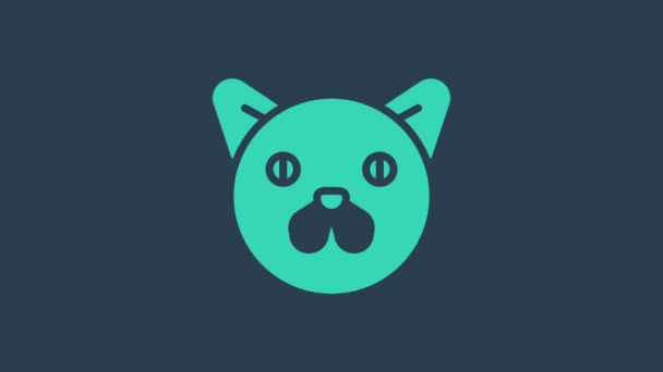 Icono de Gato Turquesa aislado sobre fondo azul. Símbolo animal. Animación gráfica de vídeo 4K — Vídeo de stock