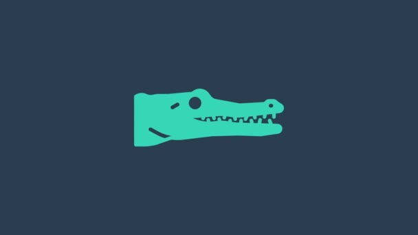 Иконка бирюзового крокодила выделена на синем фоне. Символ животного. Видеографическая анимация 4K — стоковое видео