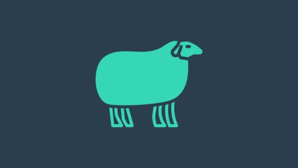 Turquoise Sheep icon isolated on blue background. Animal symbol. 4K Video motion graphic animation — Stock Video