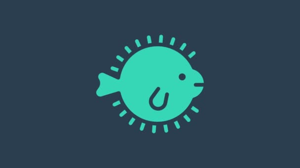 绿松石淡水鱼图标孤立在蓝色背景.福谷鱼，日本河豚。4K视频运动图形动画 — 图库视频影像