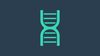 Mavi arkaplanda izole edilmiş turkuaz DNA sembolü. 4K Video hareketli grafik canlandırması