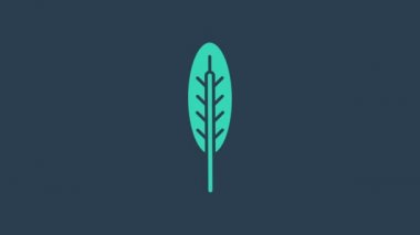 Turkuaz Hint tüyü ikonu mavi arka planda izole edildi. Amerikan yerlilerinin etnik sembolü. 4K Video hareketli grafik canlandırması