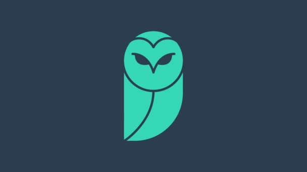 Ícone de coruja turquesa isolado no fundo azul. Símbolo animal. Animação gráfica em movimento de vídeo 4K — Vídeo de Stock
