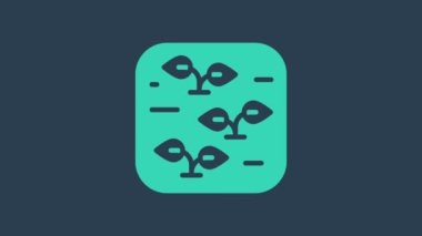 Mavi arkaplanda turkuaz bitki simgesi izole edildi. Tohum ve tohum. İşaret bırakıyor. Yaprak doğası. 4K Video hareketli grafik canlandırması