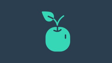 Turkuaz Apple simgesi mavi arkaplanda izole edildi. Yaprak sembollü meyve. 4K Video hareketli grafik canlandırması