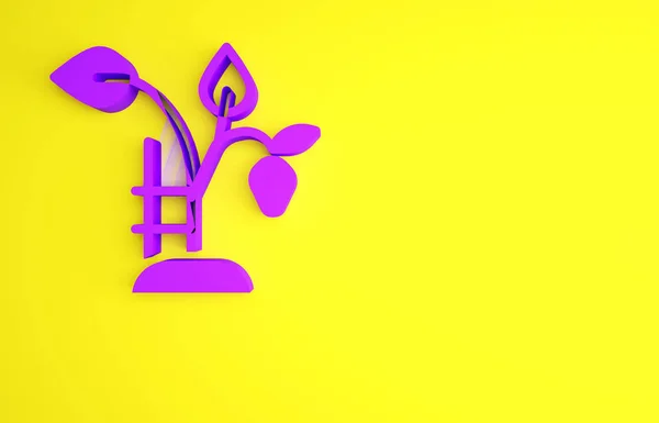 Cespuglio di fragole viola con icona di bacche isolata su sfondo giallo. Concetto minimalista. Illustrazione 3d rendering 3D — Foto Stock