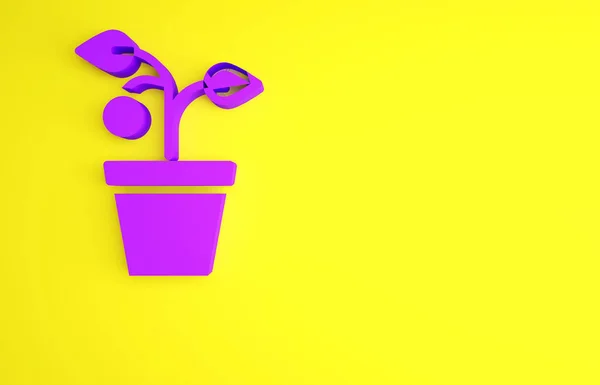 Фиолетовый Плант в горшке, выделенный на желтом фоне. Растение растет в кастрюле. Вывеска с цветами. Концепция минимализма. 3D-рендеринг — стоковое фото