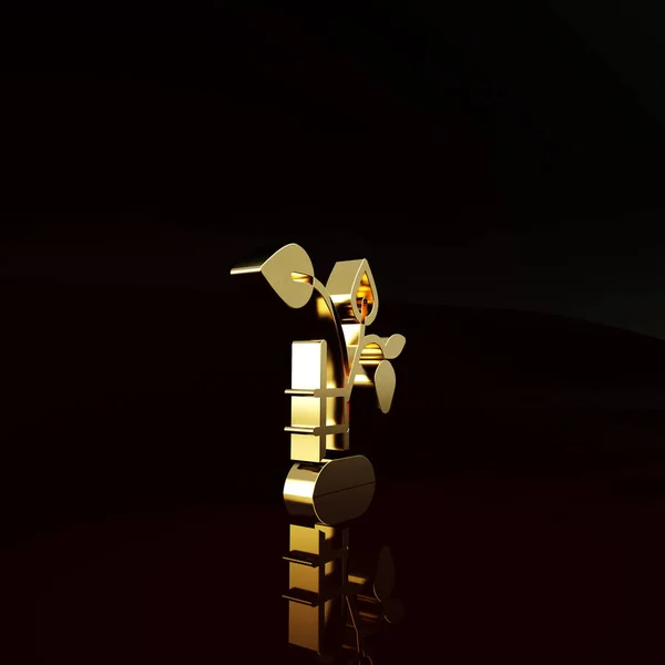 Kahverengi Arka Planda Böğürtlen Ikonu Olan Altın Çilek Çalısı Minimalizm — Stok fotoğraf