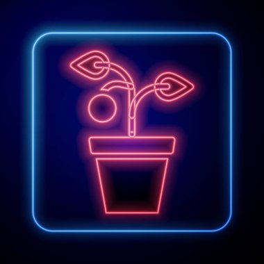 Tencere ikonunda parlayan neon bitkisi mavi arka planda izole edildi. Tencerede yetişen bir bitki. Saksı bitkisi işareti. Vektör.