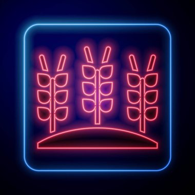 Pilav, buğday, mısır, yulaf, çavdar ve mavi arka planda izole edilmiş arpa ikonu ile parlayan neon tahıllar. Buğday ekmeği sembolleri. Vektör.