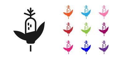 Siyah Mısır simgesi beyaz arkaplanda izole edildi. Simgeleri renklendirin. Vektör.