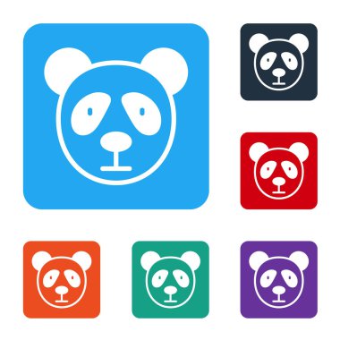 Beyaz şirin panda yüzü simgesi beyaz arkaplanda izole edilmiş. Hayvan sembolü. Renkli kare düğmelerle simgeleri ayarla. Vektör.