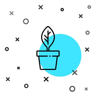 Esrar ikonundaki siyah çizgi bitkisi beyaz arkaplanda izole edilmiş. Tencerede yetişen bir bitki. Saksı bitkisi işareti. Rastgele dinamik şekiller. Vektör.