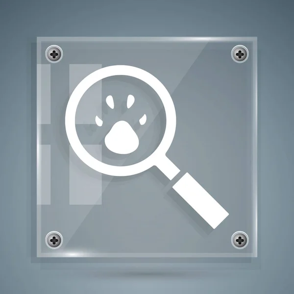 White Paw Search Icon Isolated Grey Background Magnifying Glass Animal — Stock Vector