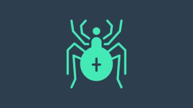 Turkuaz Örümcek simgesi mavi arkaplanda izole edildi. Mutlu Cadılar Bayramı Partisi. 4K Video hareketli grafik canlandırması