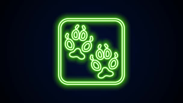 Świecąca neon linia Fox łapa footprint ikona izolowane na czarnym tle. 4K Animacja graficzna ruchu wideo — Wideo stockowe