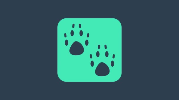 Tyrkysová ikona Tlapky izolovaná na modrém pozadí. Otisk psí nebo kočičí tlapky. Zvířecí. Grafická animace pohybu videa 4K — Stock video
