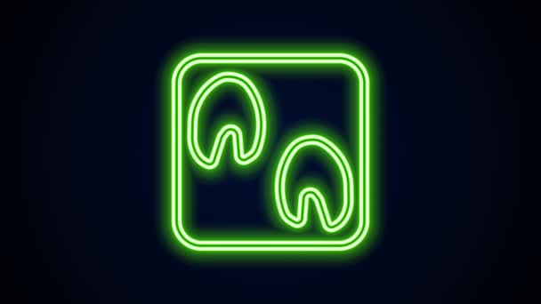 Glödande neon line Häst tass fotavtryck ikon isolerad på svart bakgrund. 4K Video motion grafisk animation — Stockvideo