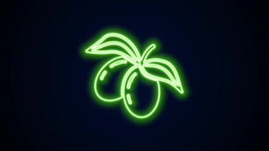Parlayan neon hattı zeytin dalı simgesi siyah arkaplanda izole edildi. 4K Video hareketli grafik canlandırması