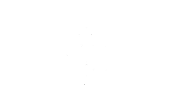 Černá čára Domácí koláč ikona izolované na bílém pozadí. Grafická animace pohybu videa 4K — Stock video