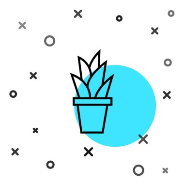 Esrar ikonundaki siyah çizgi bitkisi beyaz arkaplanda izole edilmiş. Tencerede yetişen bir bitki. Saksı bitkisi işareti. Rastgele dinamik şekiller. Vektör İllüstrasyonu.