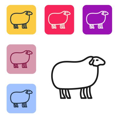 Siyah çizgi koyun simgesi beyaz arkaplanda izole edildi. Hayvan sembolü. Renkli kare düğmelerle simgeleri ayarla. Vektör.