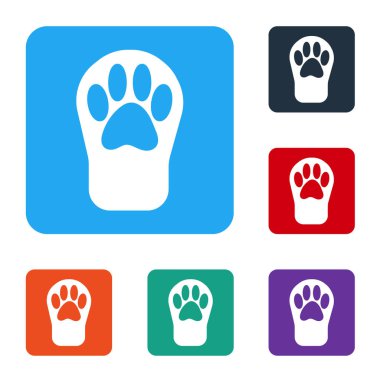 Beyaz Pençe yazdırma simgesi beyaz arkaplanda izole edildi. Köpek ya da kedi pençesi izi. Hayvan izleri. Renkli kare düğmelerle simgeleri ayarla. Vektör.
