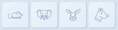 Rat, Rabbit Head, Elephant ve Dog. Beyaz kare düğme. Vektör.