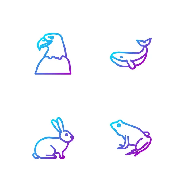 Встановити Лінію Frog Rabbit Eagle Head Whale Градієнтні Кольорові Ікони — стоковий вектор