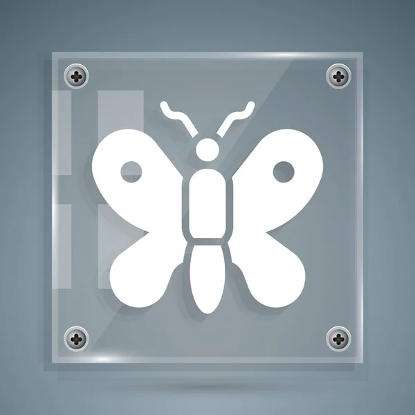 Icône Papillon Blanc Isolé Sur Fond Gris Panneaux Carrés Verre — Image vectorielle
