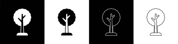Impostare Icona Albero Isolato Sfondo Bianco Nero Simbolo Della Foresta — Vettoriale Stock