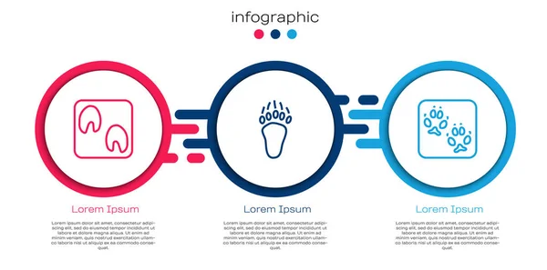 Set Line Horse Paw Footprint Bear Fox Business Infographic Template — Stock Vector