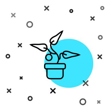 Esrar ikonundaki siyah çizgi bitkisi beyaz arkaplanda izole edilmiş. Tencerede yetişen bir bitki. Saksı bitkisi işareti. Rastgele dinamik şekiller. Vektör.