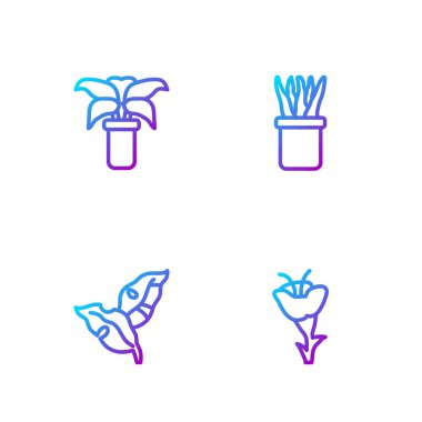 Sabit çizgi çiçek, tropikal yapraklar, saksı ve bitkide tropikal bitkiler. Renk simgeleri. Vektör