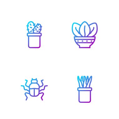 Kabın içinde bitki, böcek, kaktüs kaktüsü ve peyote. Renk simgeleri. Vektör