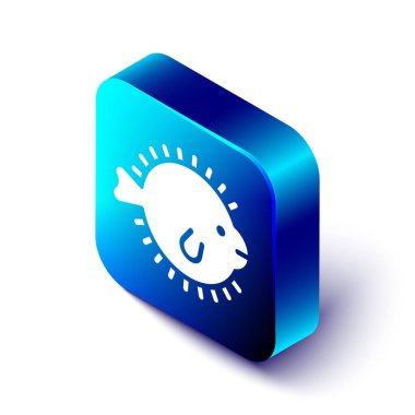 Beyaz arka planda izole edilmiş Isometric Kirpi balığı simgesi. Fugu balığı Japon kirpi balığı. Mavi kare düğme. Vektör.